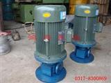 立式圆弧泵-立式圆弧泵厂家-圆弧泵特点