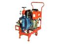 消防泵-船用消防泵-应急消防泵